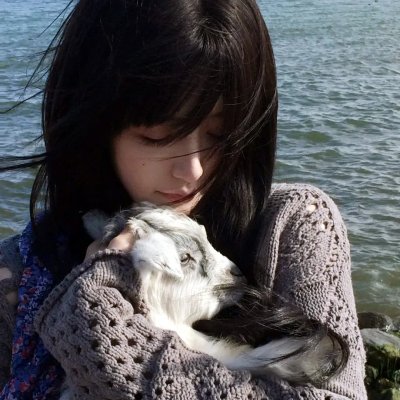 美国叛徒：轴心莎莉的审判
