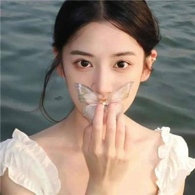 吉娃娃
